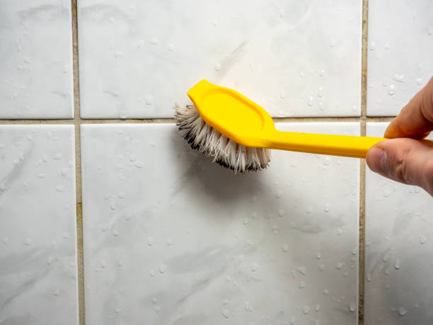 Best Mold Remediation Services  in Homer, IL