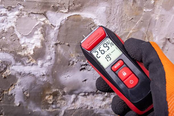 Best Mold Cleaning Services  in Homer, IL