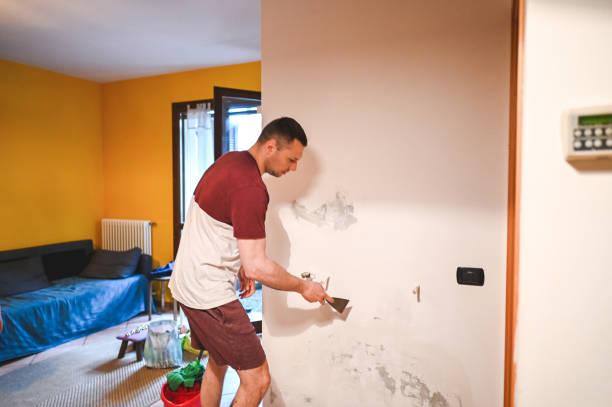 Homer, IL Mold Removal Company